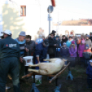 Év végi malackodás Szőke Andrással a tapolcai Tóparton 1/3