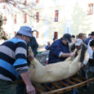 Év végi malackodás Szőke Andrással a tapolcai Tóparton 1/3