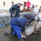 Év végi malackodás Szőke Andrással a tapolcai Tóparton 1/3