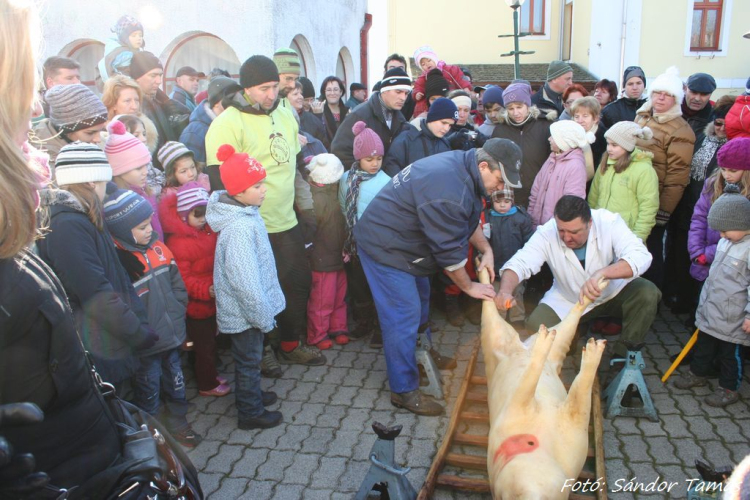 Év végi malackodás Szőke Andrással a tapolcai Tóparton 1/3