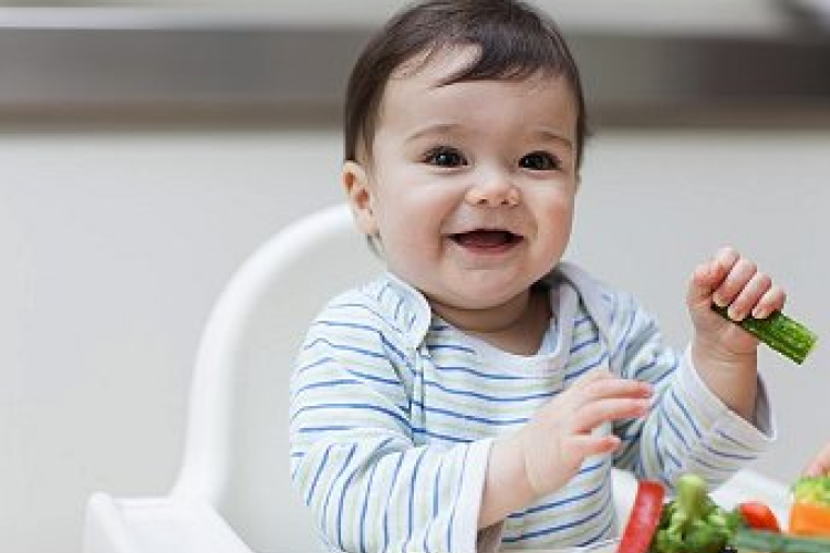 Babakonyha - élet az első kanál pürék után