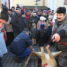 Év végi malackodás Szőke Andrással a tapolcai Tóparton 1/3