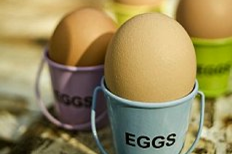 10 dolog, amiért szeretjük a tojást
