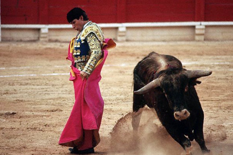 Mallorca fővárosa nem akar több bikaviadalt