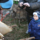 Év végi malackodás Szőke Andrással a tapolcai Tóparton 1/3